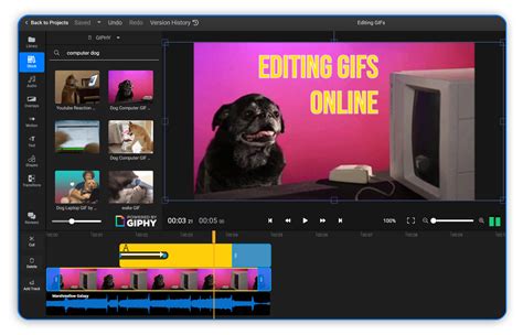 Online GIF Editor